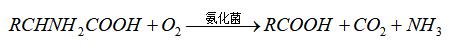 1650421002312687.jpg