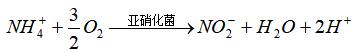 1650421038284819.jpg